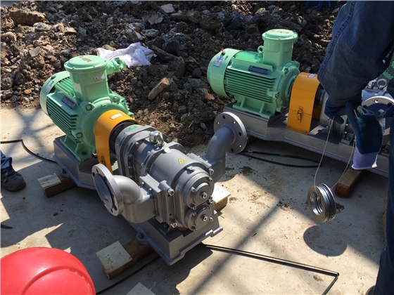 羅德乙醇卸車轉子泵安裝準備工作