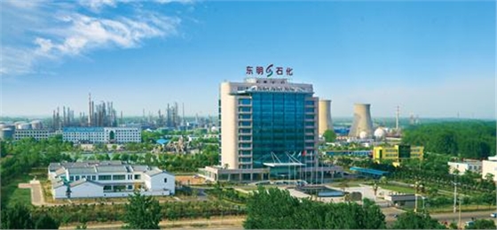 山東東明石化集團 山東東明石化集團