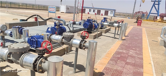 羅德凸輪轉子泵-中石油天然氣陜西.jpg 羅德凸輪轉子泵-中石油天然氣陜西.jpg