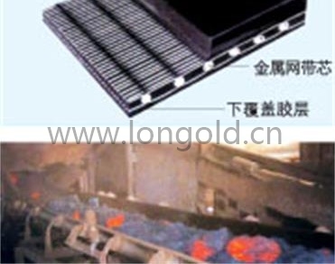 金屬網(wǎng)芯輸送帶